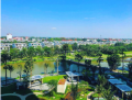 Tổng quan và đánh giá các phương pháp xác định khả năng hấp thụ và lưu trữ carbon của cây xanh đô thị